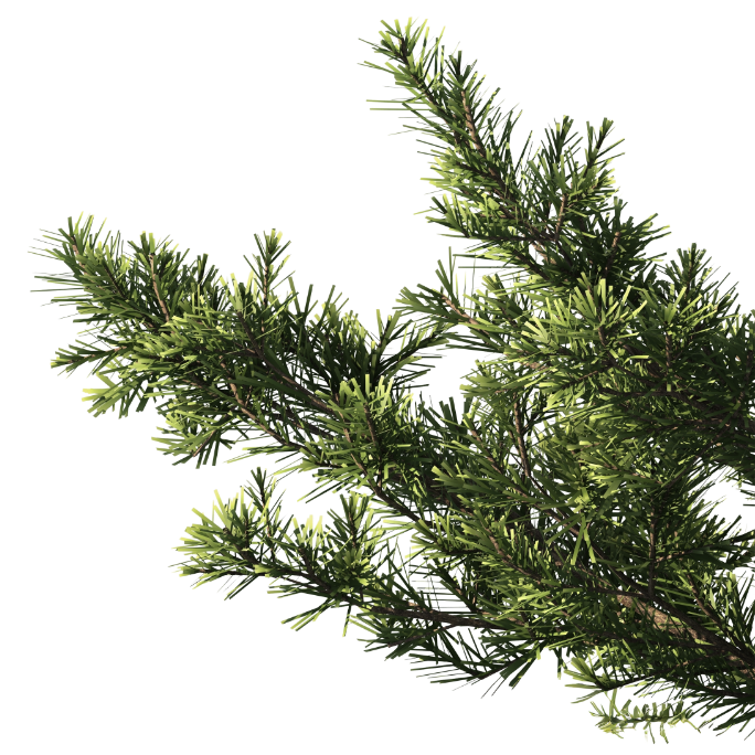 Branch decoration