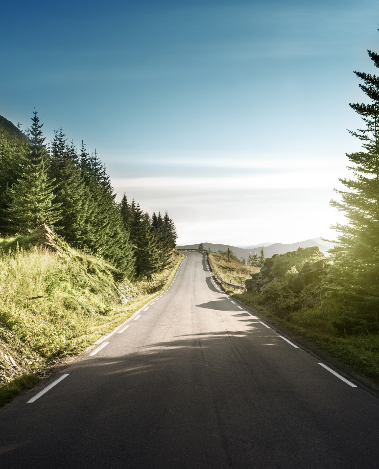 Route de montagne bordée de sapins dans les Vosges, accès à Gérardmer