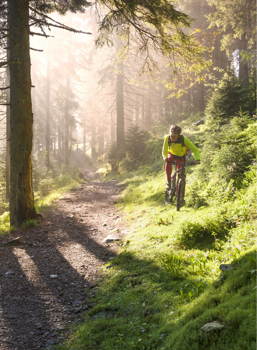 VTT sur un sentier forestier ensoleillé autour de Gérardmer, Vosges