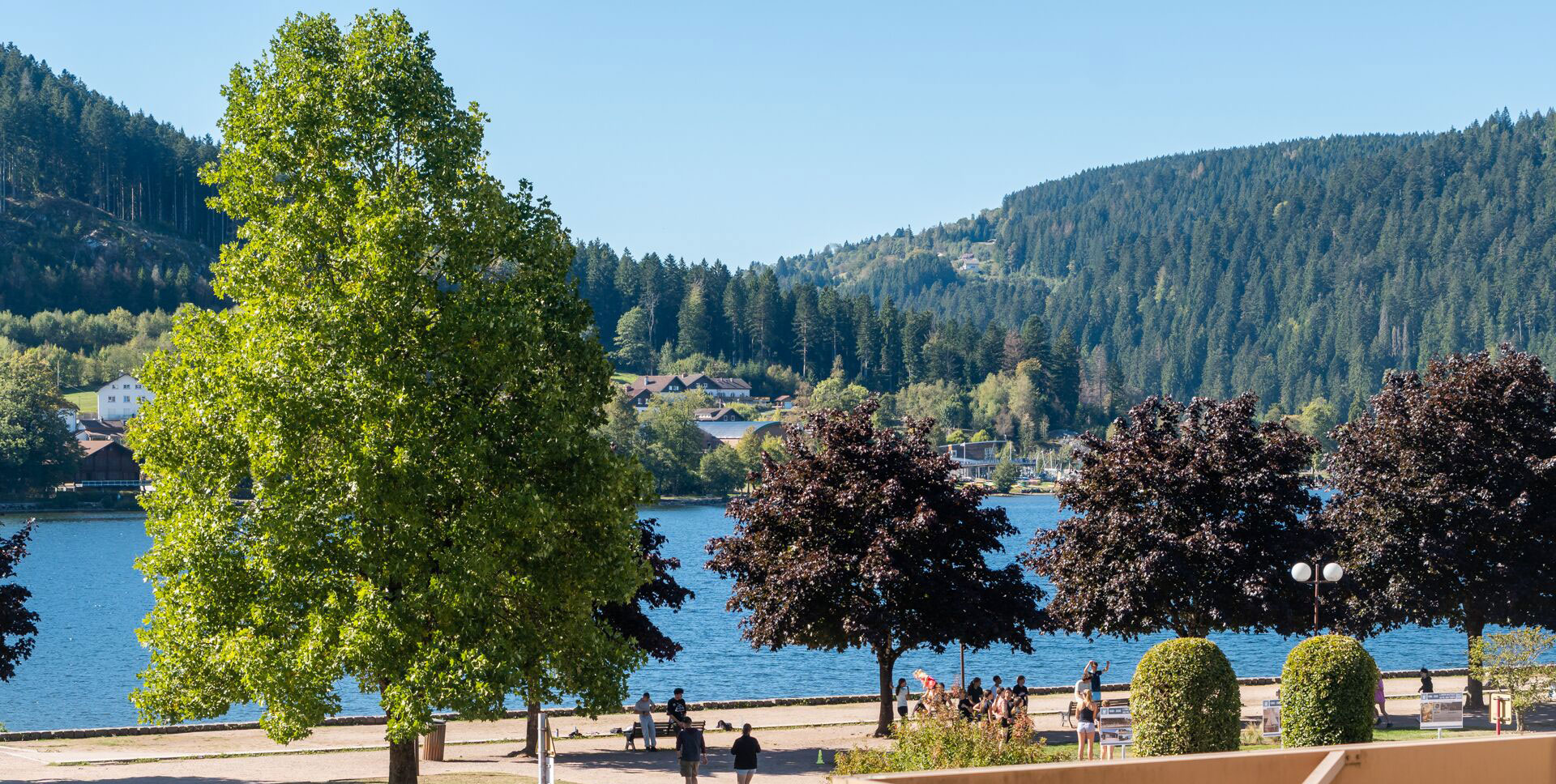 Vue sur le lac de Gérardmer et les sapins depuis la chambre double vue lac de l'hôtel La Réserve