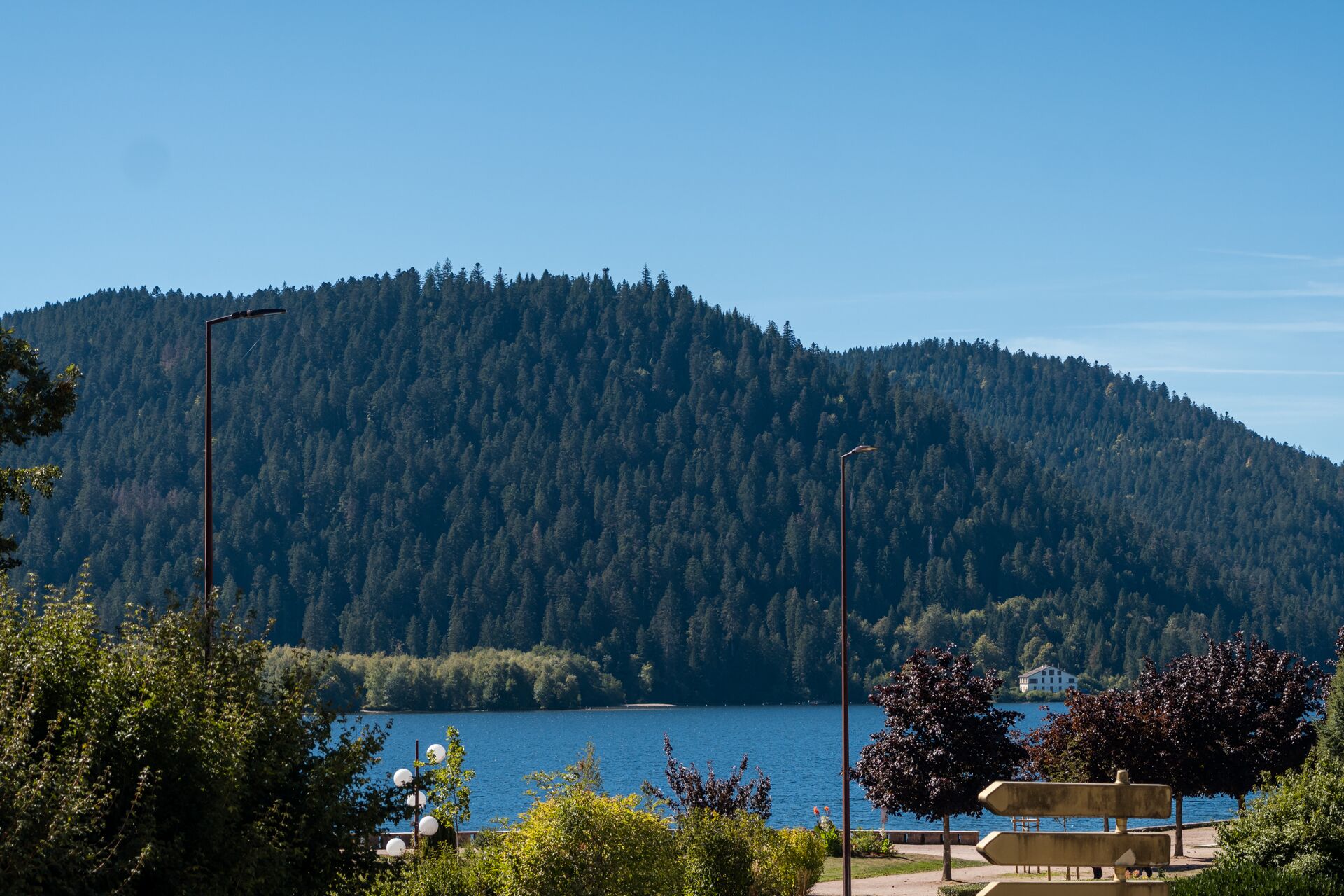 Vue sur le lac de Gérardmer et la forêt vosgienne depuis une chambre deluxe de l'hôtel