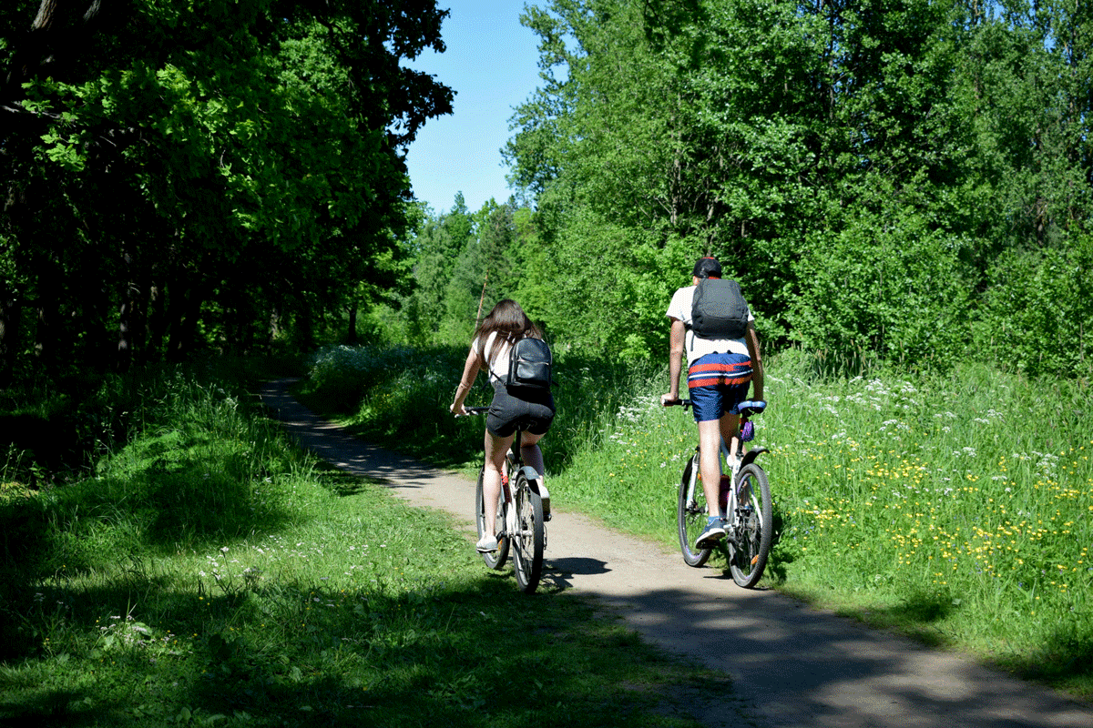Balade à vélo sur la voie verte de Gérardmer, entre forêts et prairies vosgiennes